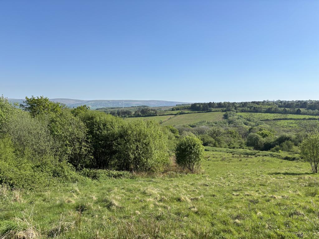 Land to south