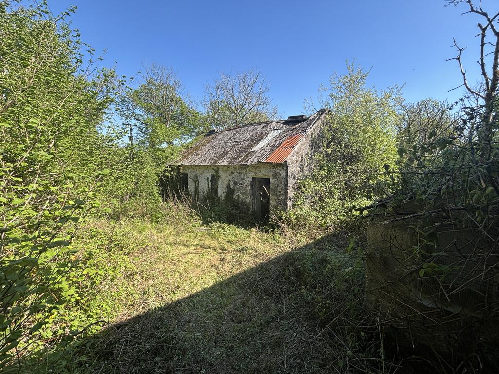 Barn