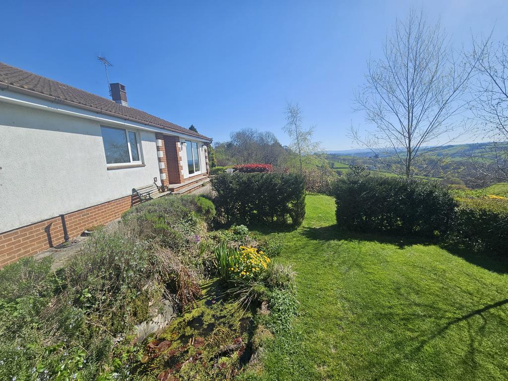 South facing garden