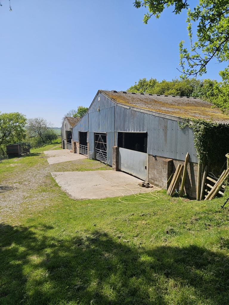 The farm buildings