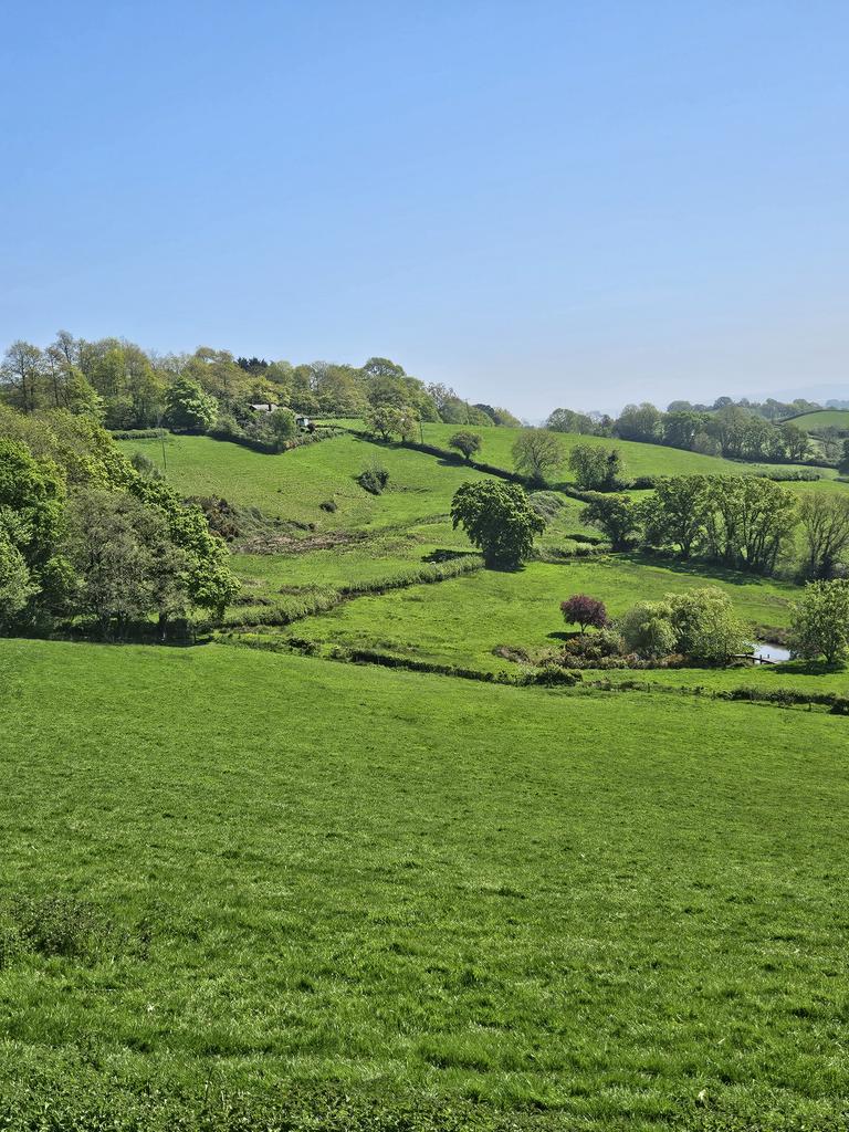 Pasture land and pond