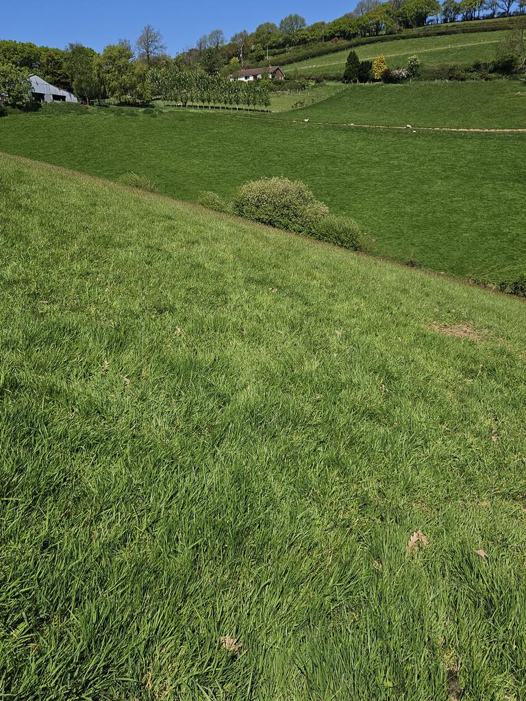 Pasture land