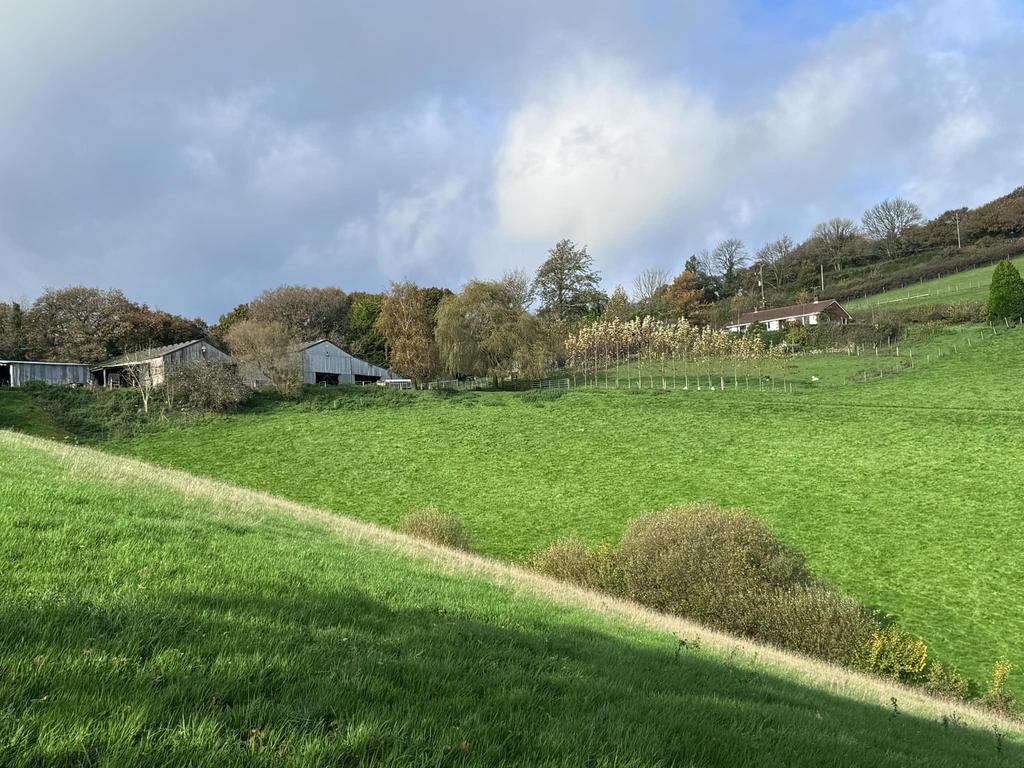 View towards the farm buildings and bungalow