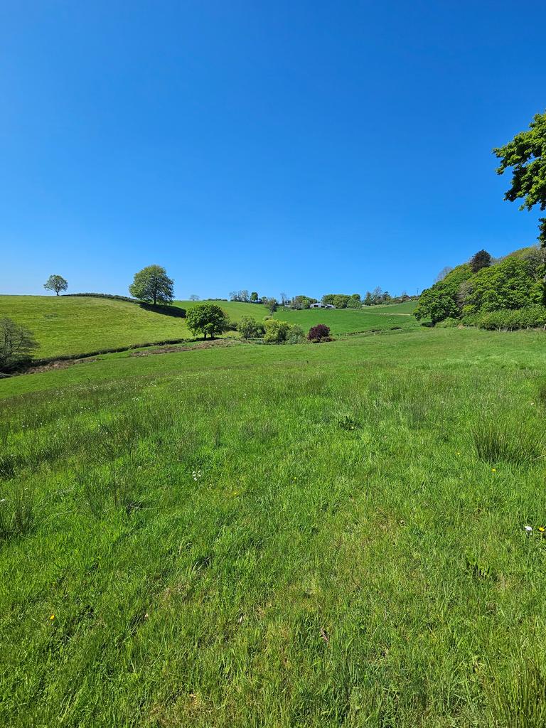 Pasture land