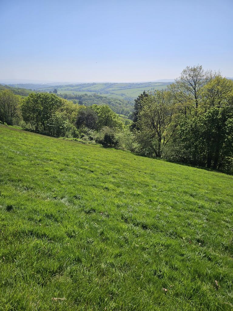 Pasture land