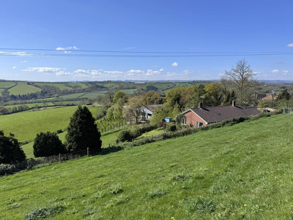 View from access driveway