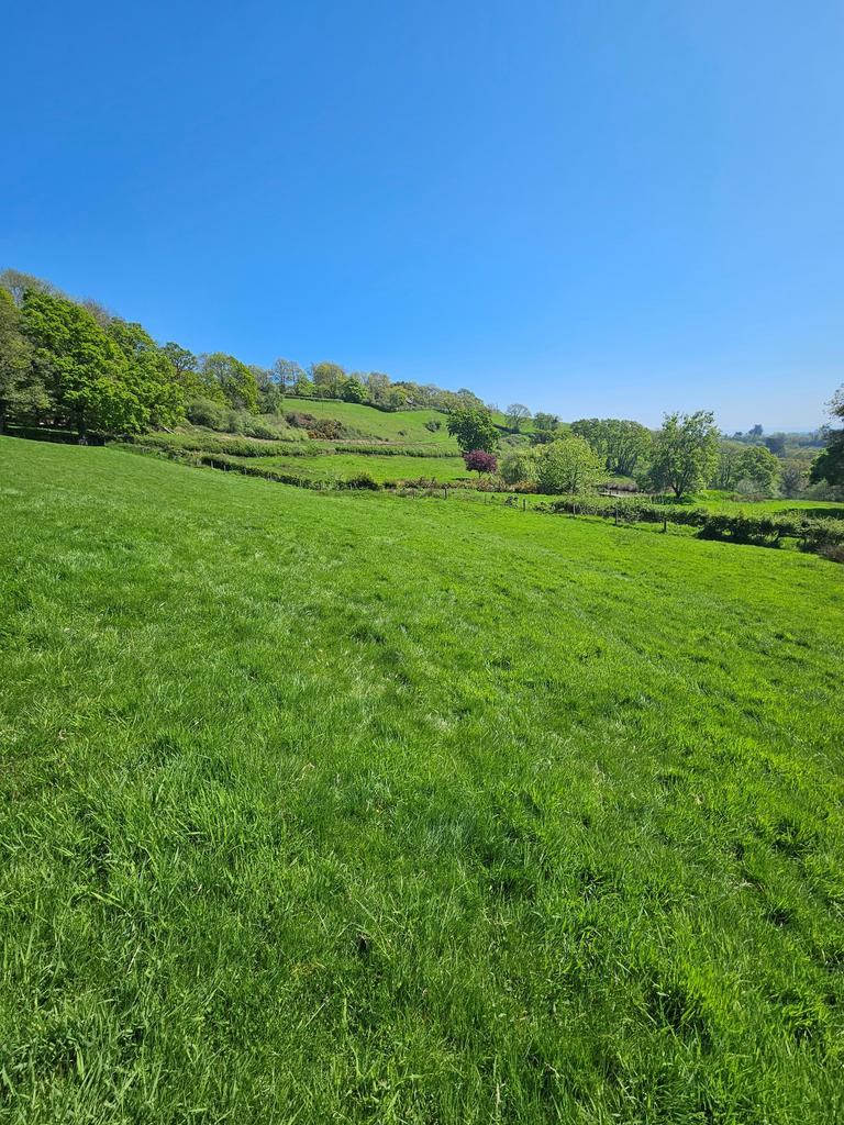 Pasture land
