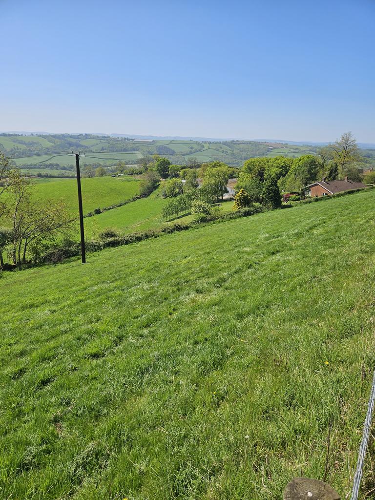 Pasture land