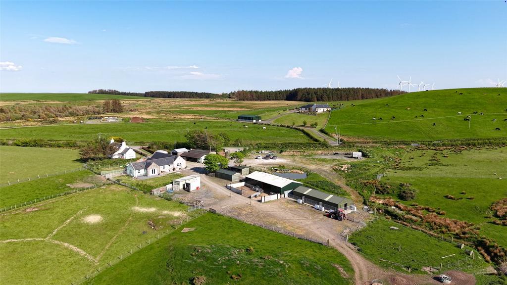 Old Hemp Farm