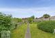 Back Garden