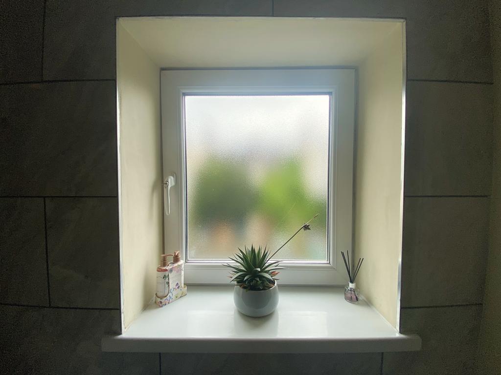 Bathroom-window