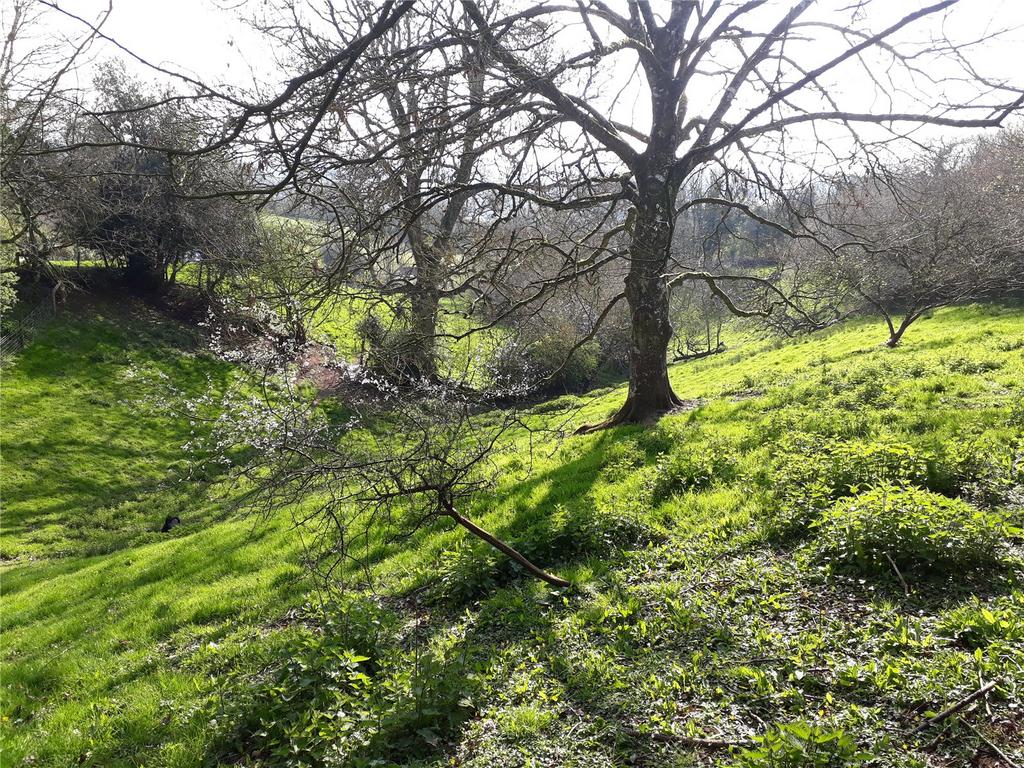 Ground