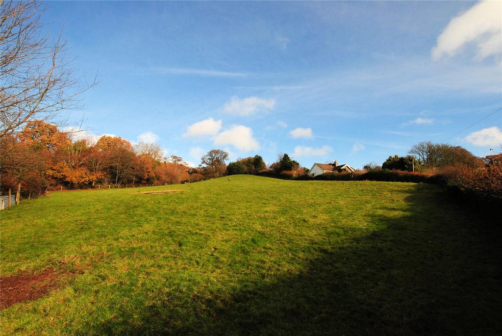 Ground