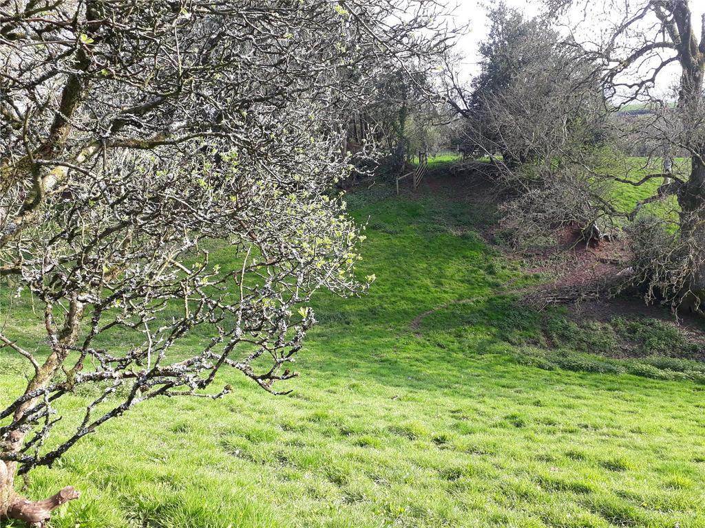 Ground