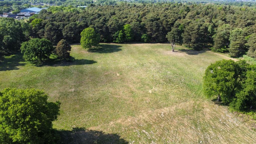 Dji Fly 20250514 162652 910 1747236485245 Photo...
