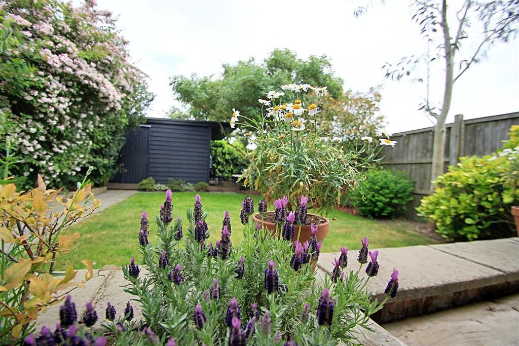 Garden.jpg