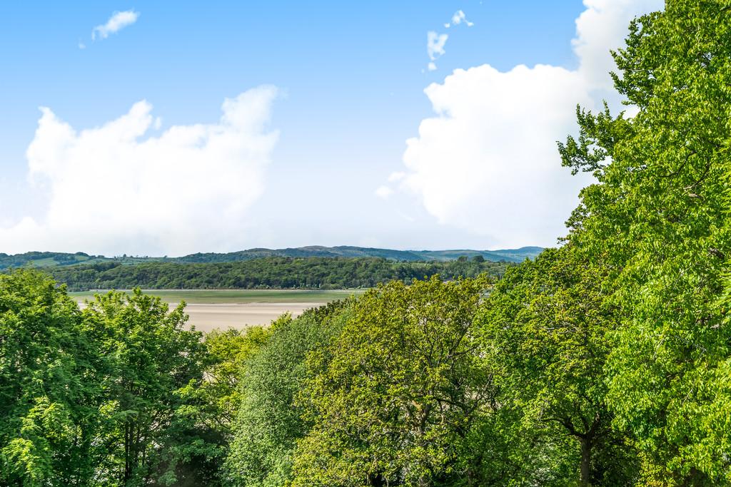 Far Reaching Views