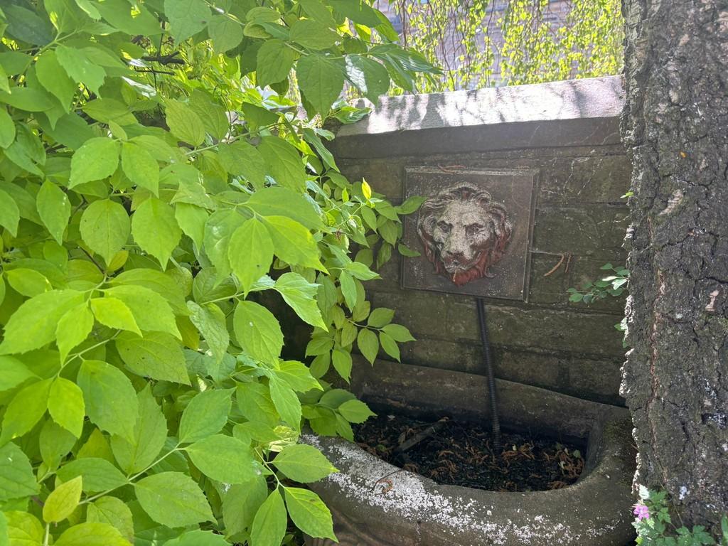 Garden 2