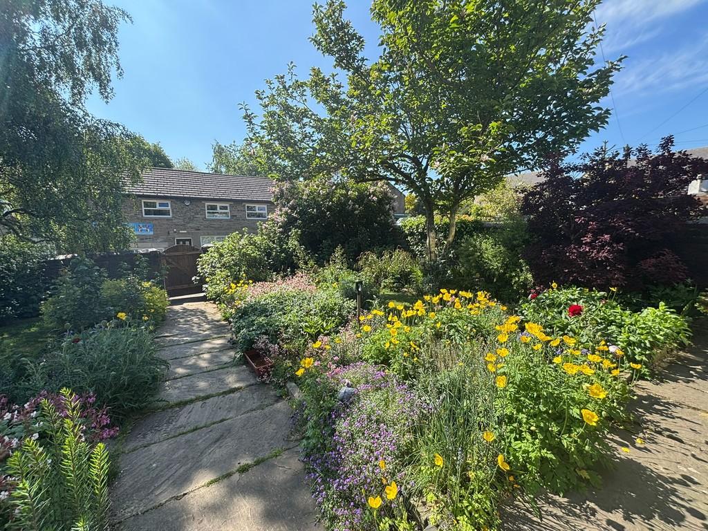 Garden 8