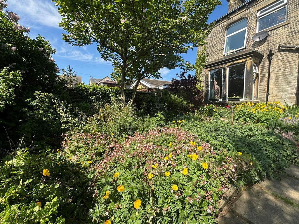 Garden 4