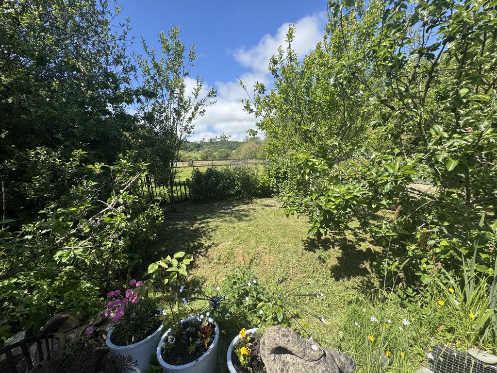 Garden (second image)
