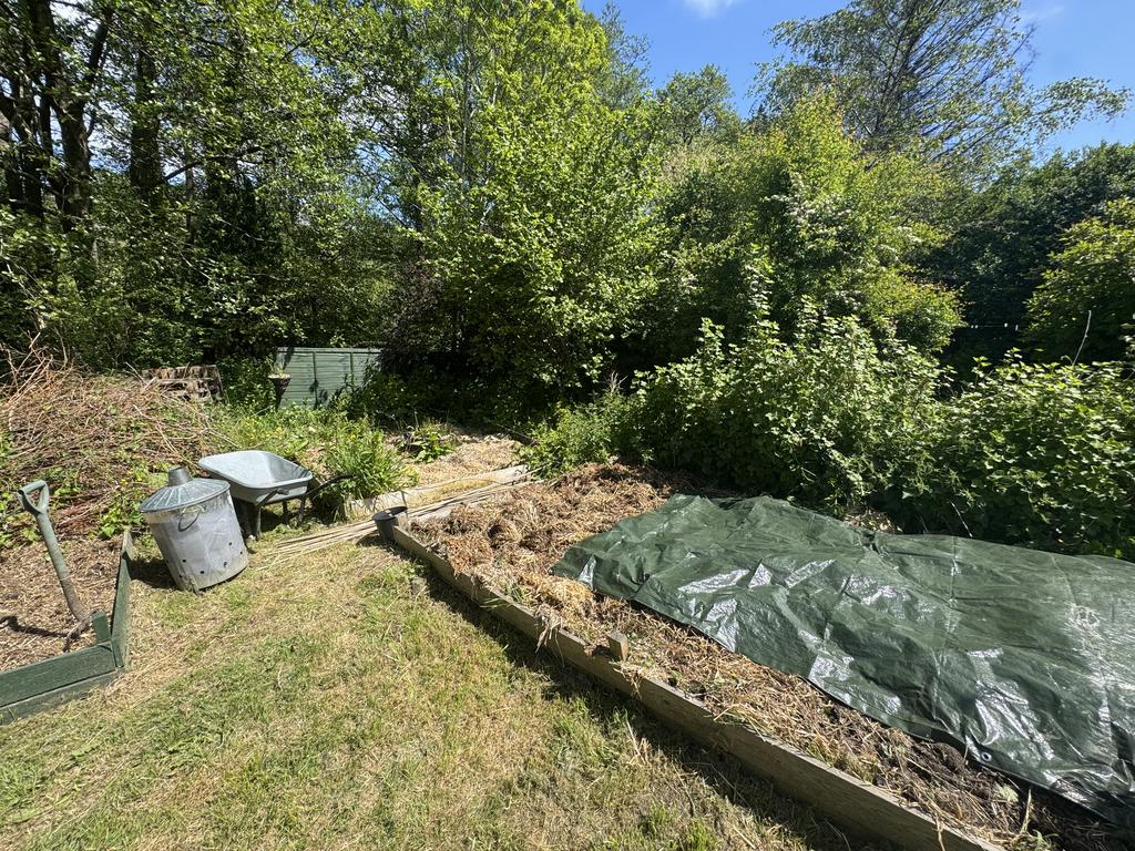 Garden (third image)