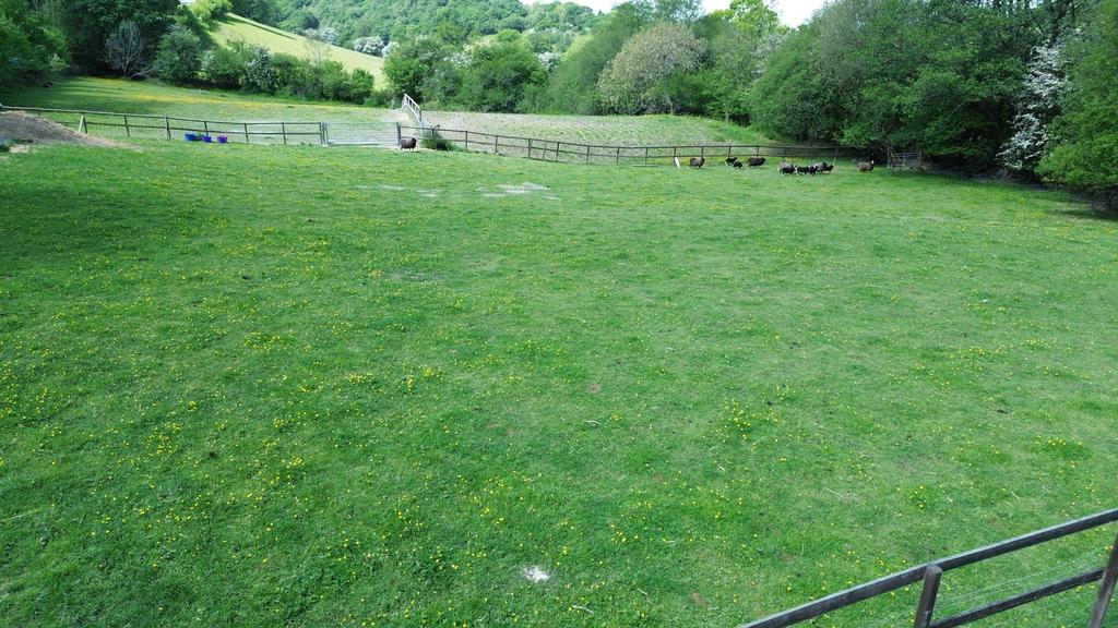 The land