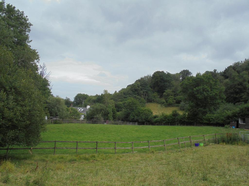 Land (second image)