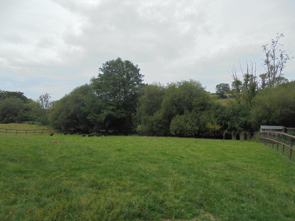 Land (third image)