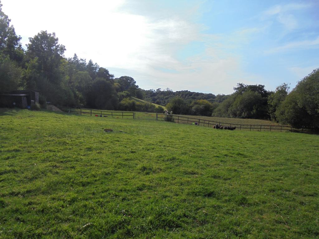 Land (fourth image)
