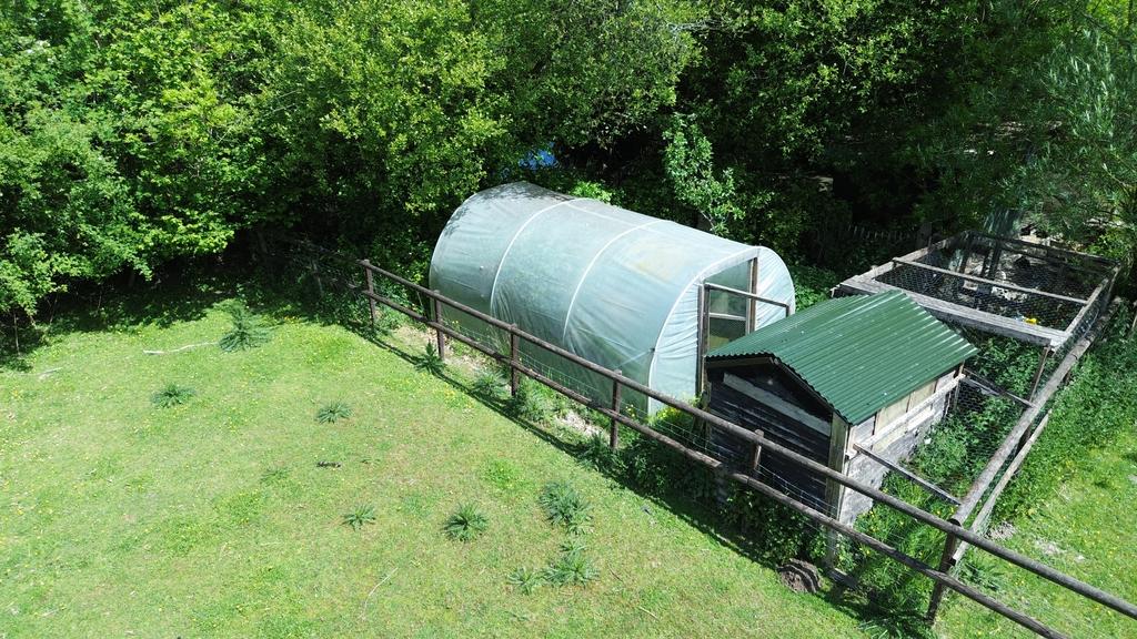 Poly tunnel 2