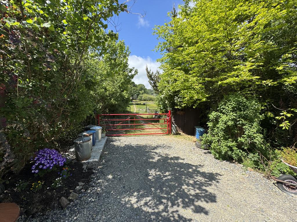 Parking and driveway