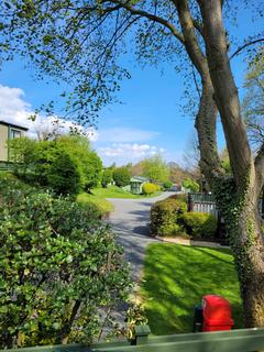 undefined, Newton-Le-Willows Bedale