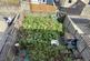 Additional image 8 of Elizabeth Street, Elland
