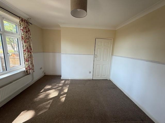 D T202505231555.jpg