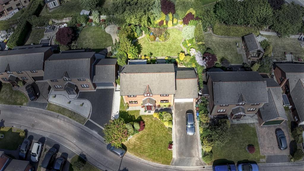 Aerial Setting