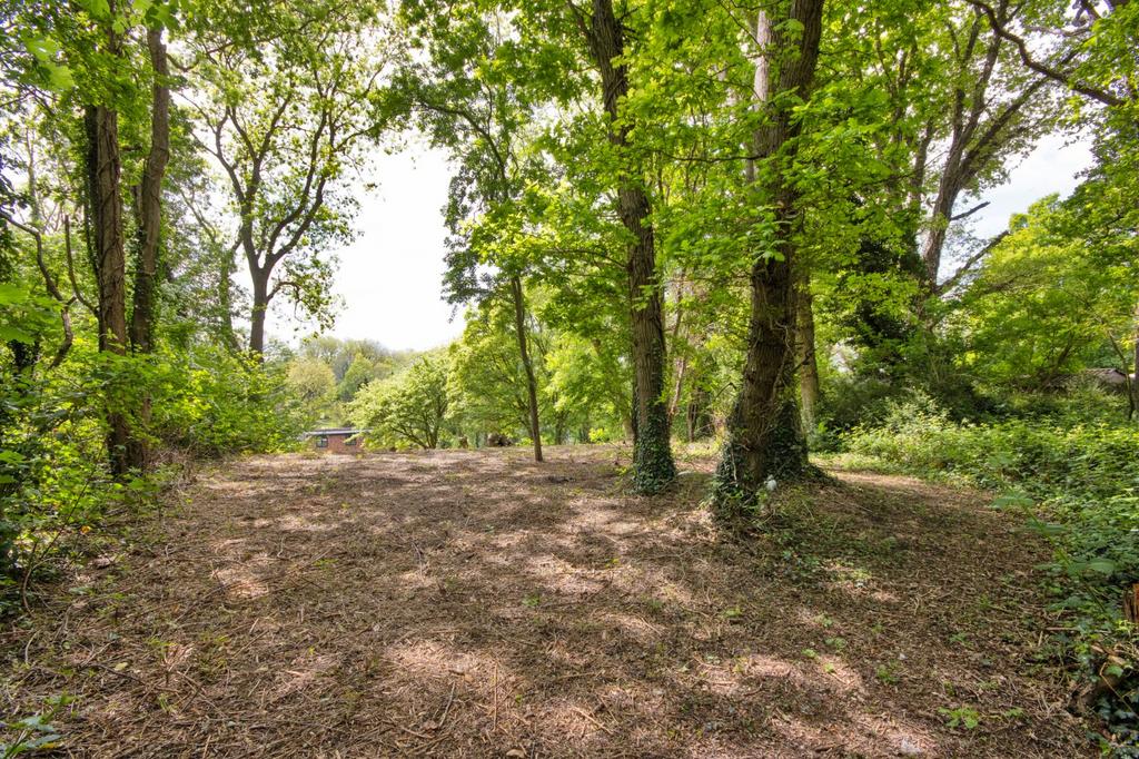 Woodland