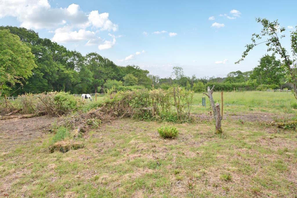 Farmland View