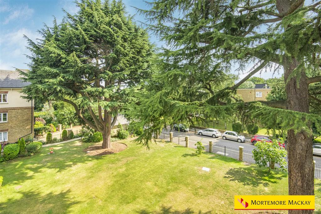 23 36186 watermarked.jpg