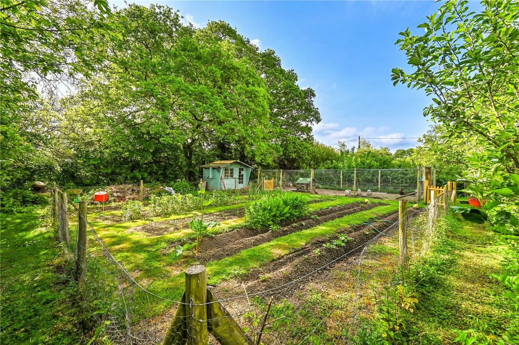 Vegetable Patch