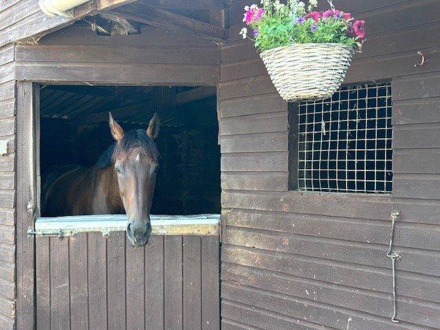 Stables