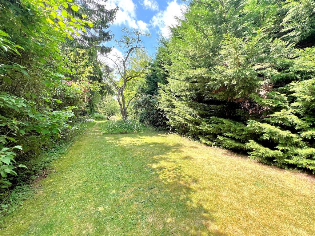 Garden 2.jpg
