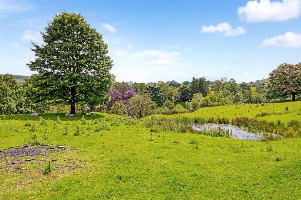 Pond