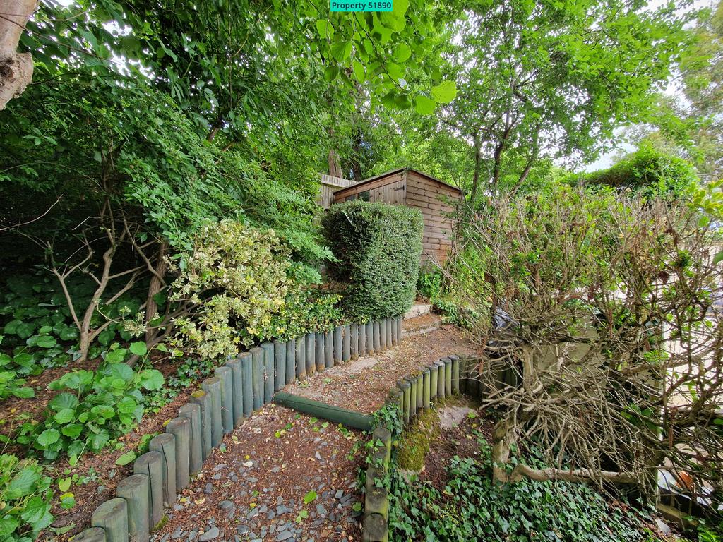 Path to shed