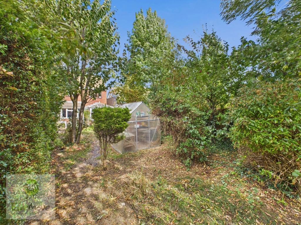 Back Garden