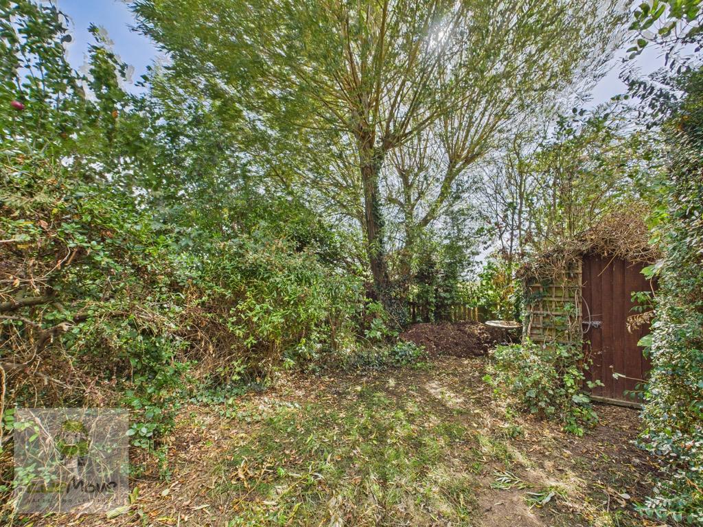 Back Garden