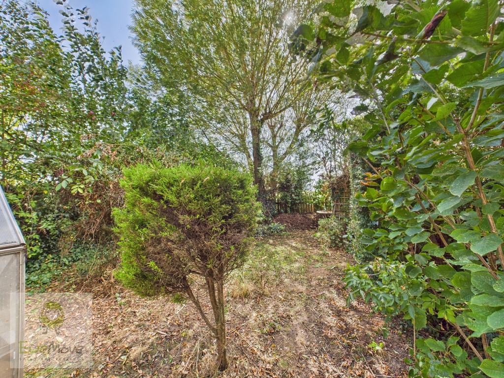 Back Garden