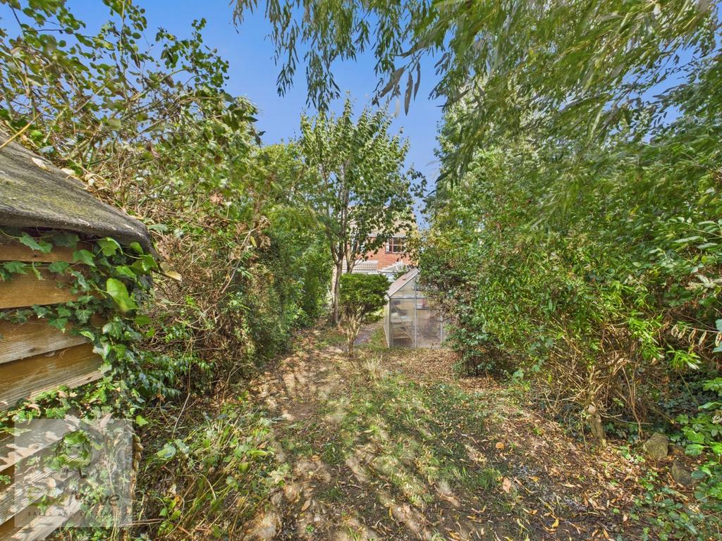 Back Garden