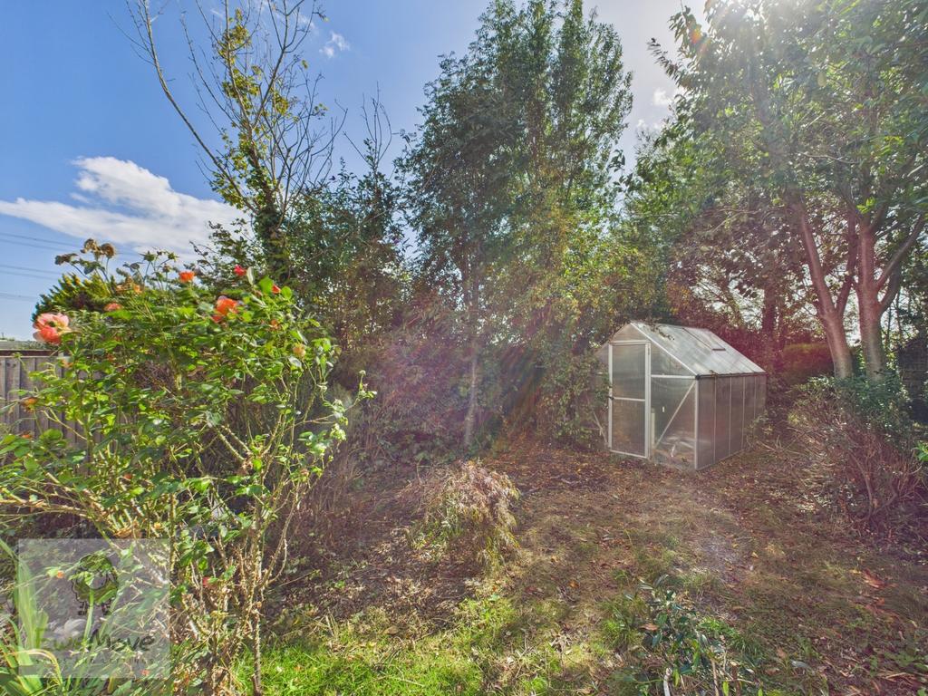 Back Garden