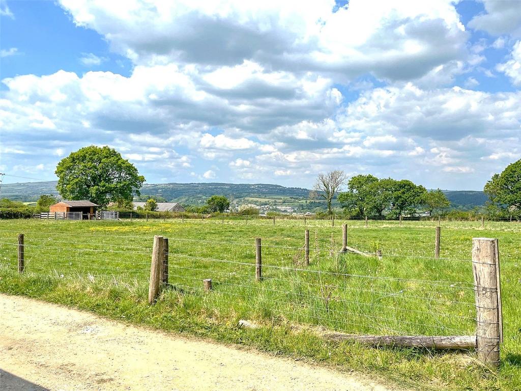 View From Rear